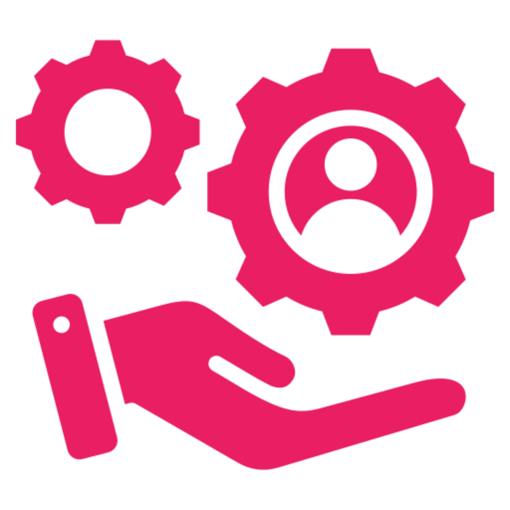 Directly Delivered Services