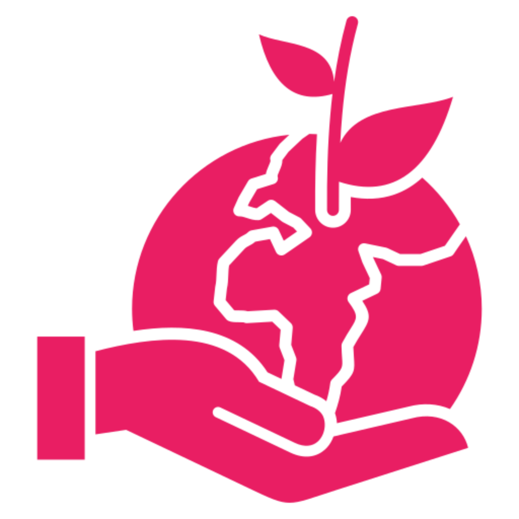 Environmental Responsibility