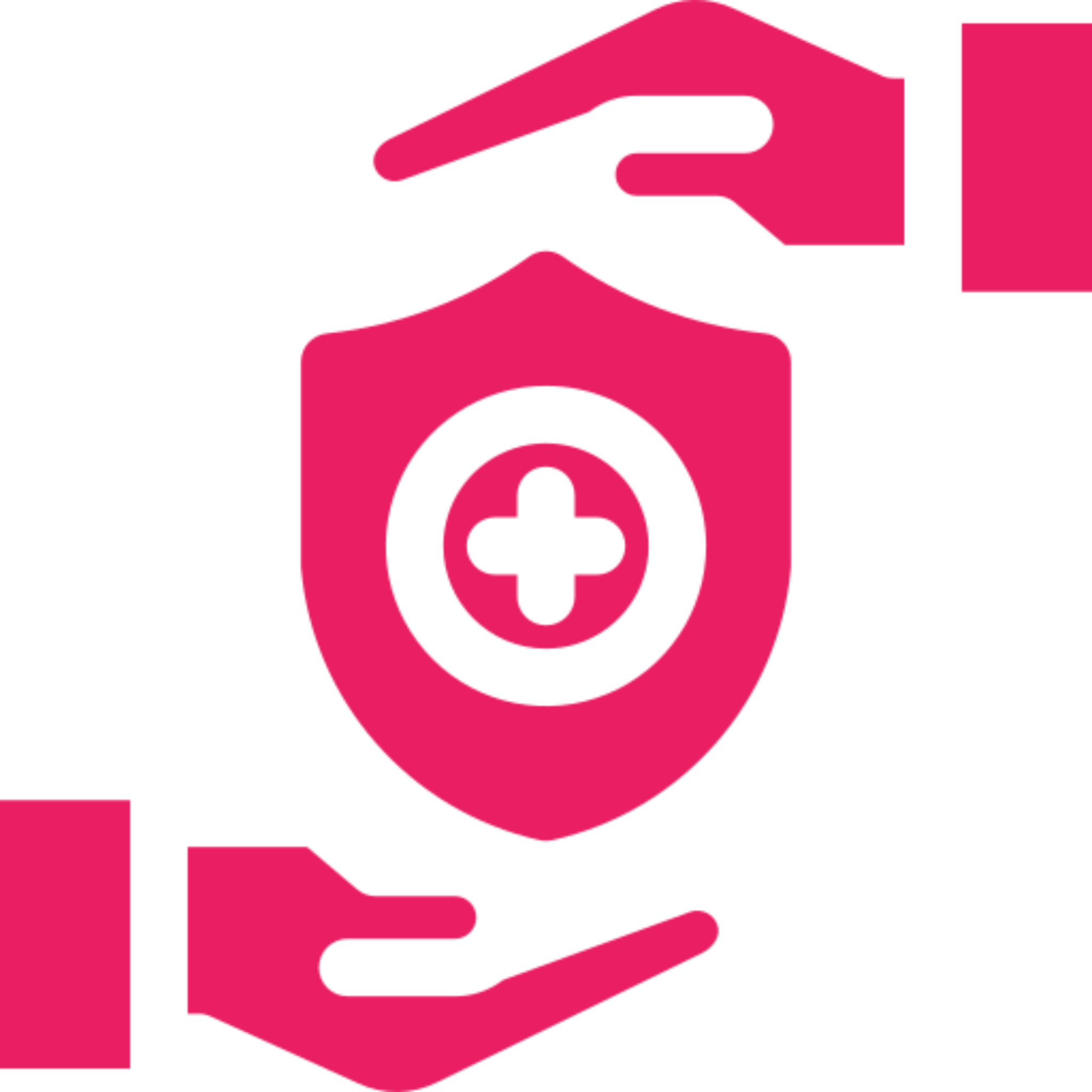 Health and Safety Focus