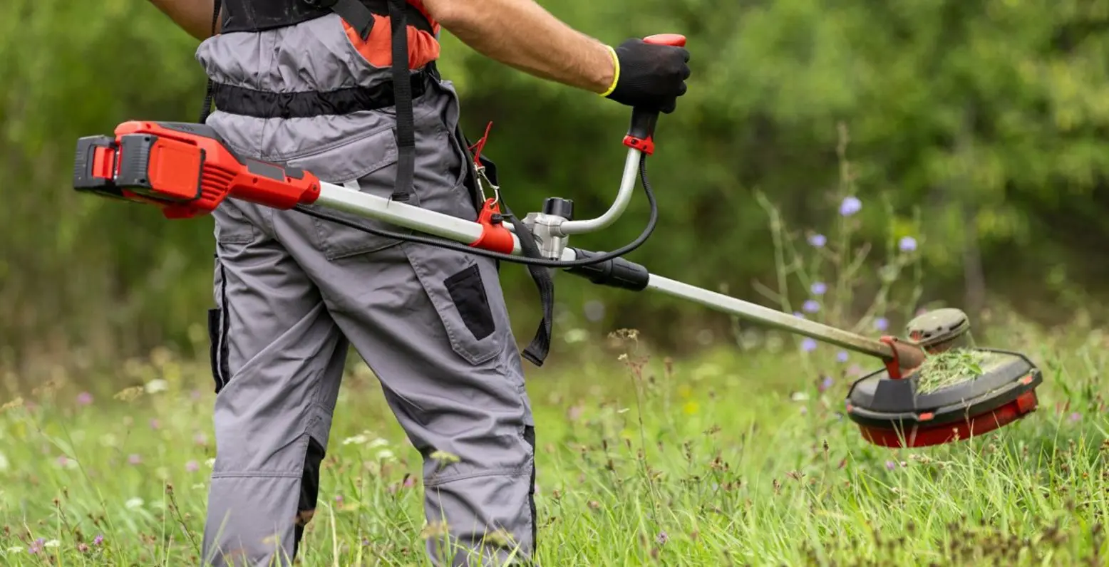 pioneer fm_grounds-maintenance-photo_taken_Bracknell_office